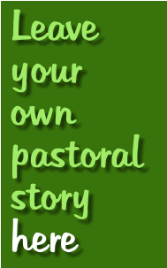 Leave your own pastoral  story  here